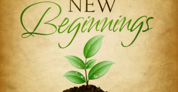New beginnings t nv