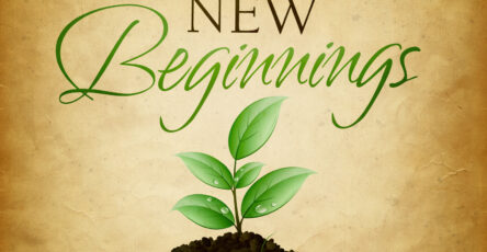 New beginnings t nv