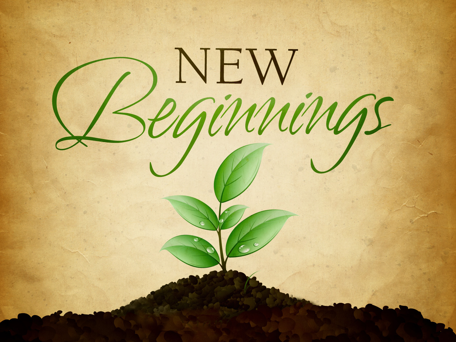 New beginnings t nv