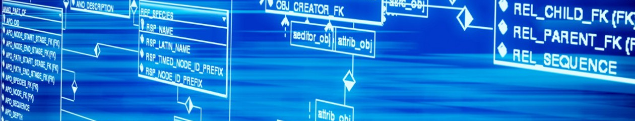 Database cleanup 1038x576